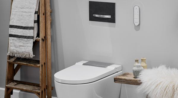 close up image of toilet with bathroom accessories.