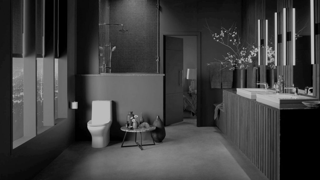 image of bathroom in black and white