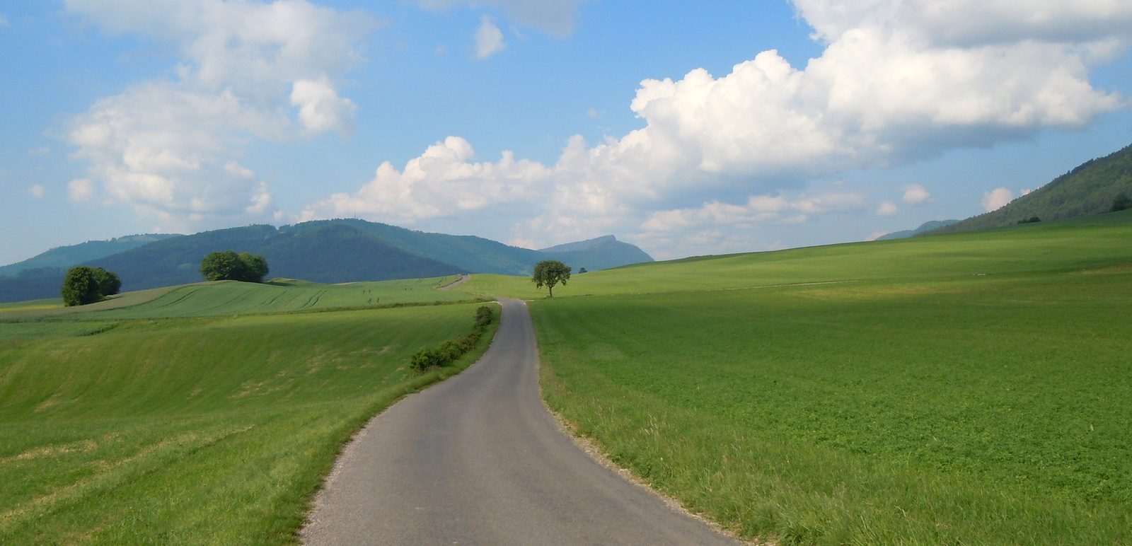 Escape to the country